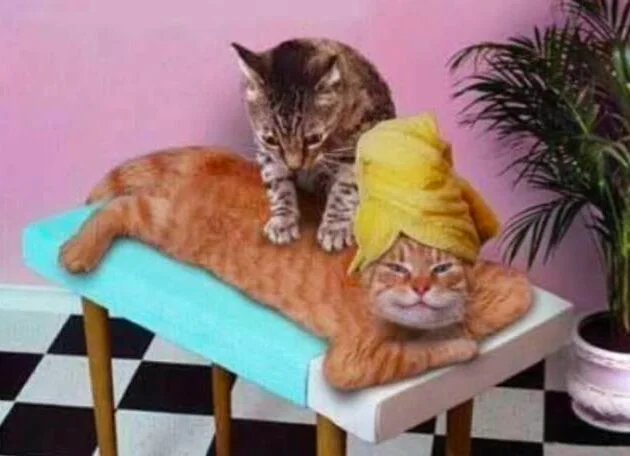 Massagem para o noivo relaxar antes de ver a fatura do cartão
