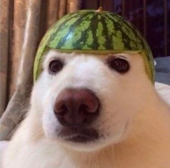 Capacete para o noivo se defender do pau de macarrão